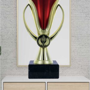 Red & Gold Cup